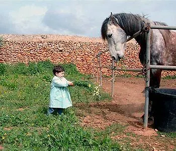Farm stay Sa Canova